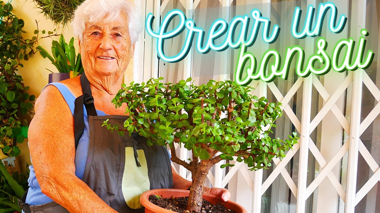 CREA TU PROPIO BONSAI ❤️(Plantación, Poda, Crecimiento...) LA YAYA Y SUS PLANTAS