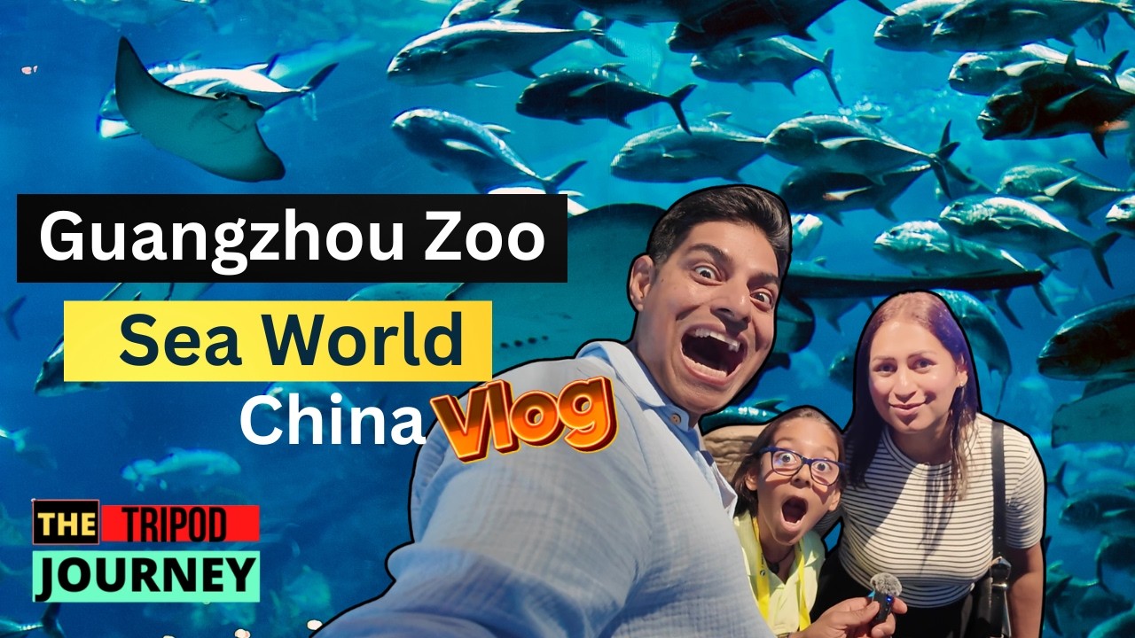 Guangzhou Zoo I Sea World I Part 1 I China Vlogs I Tourist attractions in Guangzhou