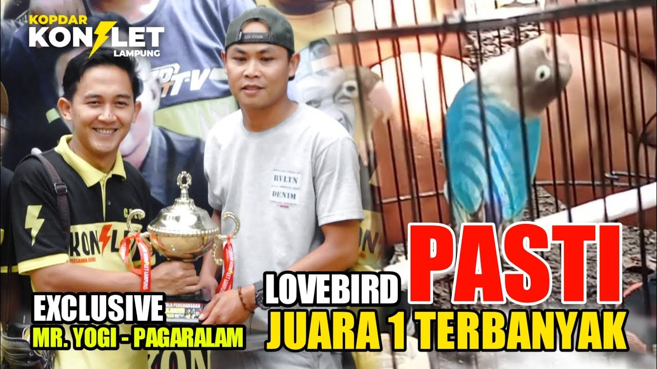 LOVEBIRD &mdash; ЭТО &laquo;БЕЗУСЛОВНО&raquo; РОСКОШНО | ПЕРВОЕ ВЫСТУПЛЕНИЕ, УДИВИТЕЛЬНОЕ В ГРУППЕ LAMPUNG KONSLET