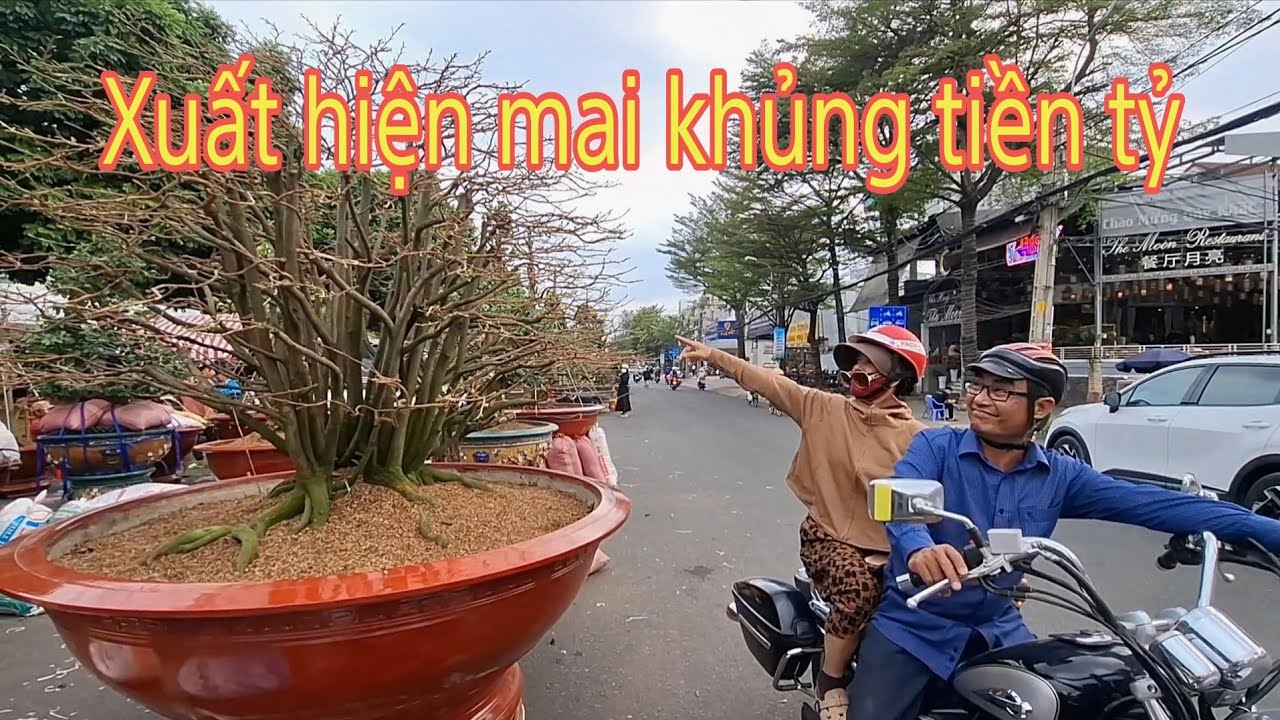Phát hiện mai khủng tiền tỷ tại chợ hoa xuân 