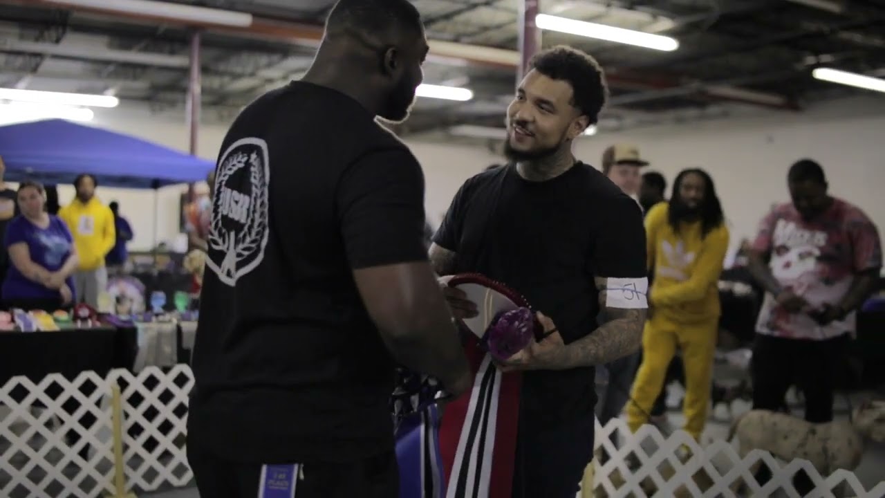 Spring Fling Bully Fever 