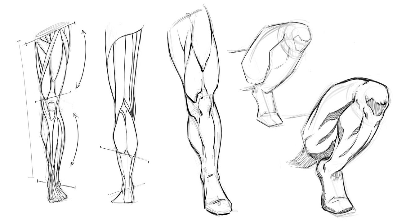 How to Draw Legs  - Anatomy Study for Comic Artists