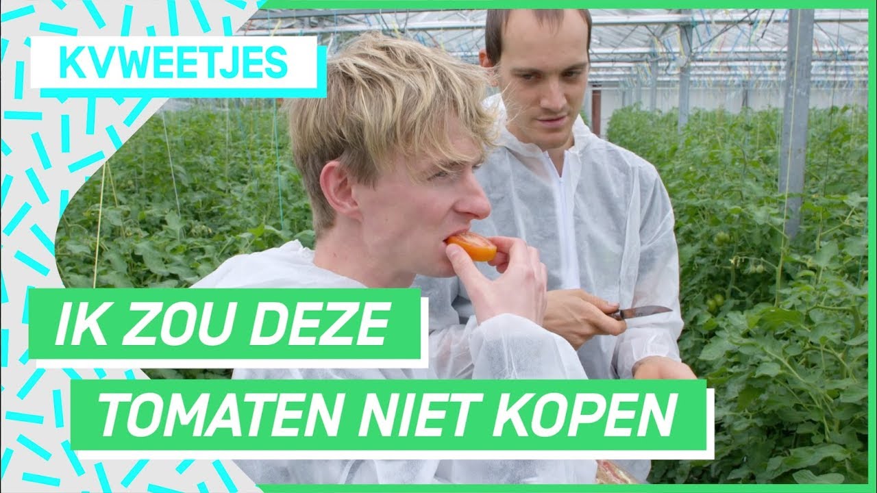 Door speciale tomaten geen zeiknatte sandwiches! | KVWEETJES #1 | NPO 3