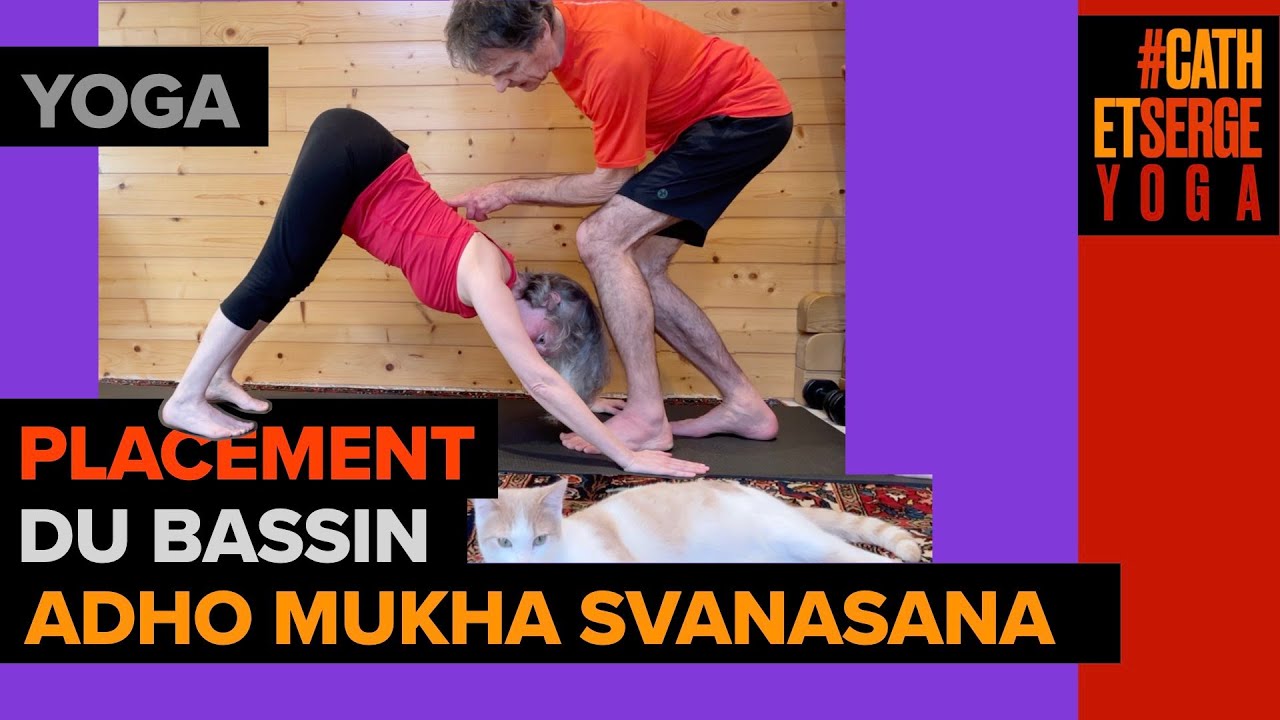 YOGA : ADHO MUKHA SVANASANA, LE CHIEN TÊTE EN BAS, PLACEMENT DU BASSIN