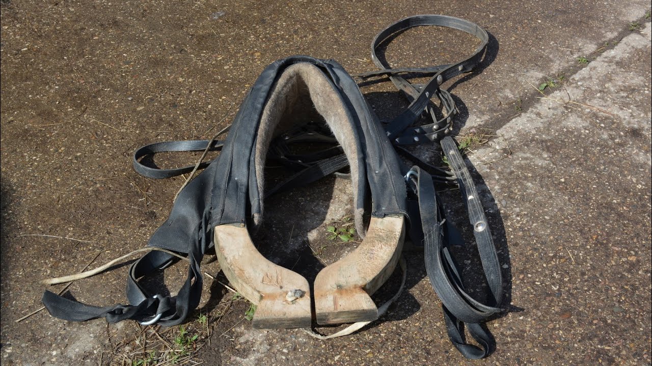 Как правильно подобрать хомут для лошади