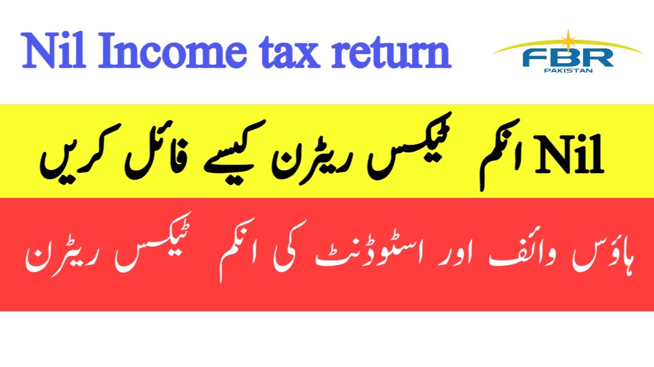 HOW TO FILE NIL INCOME TAX RETURN IN 2025 | Tax return for House wife and full time student
