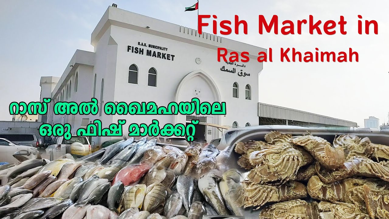 Fish Market in Ras al Khaimah|One2One