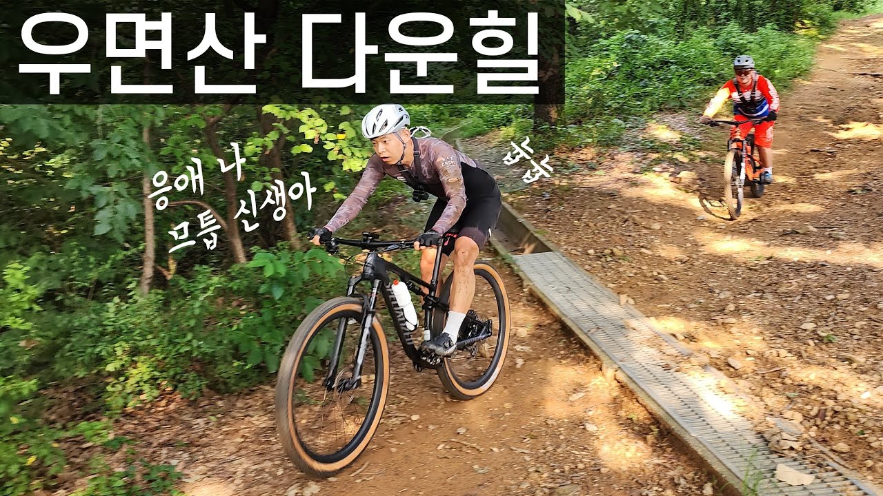 3번째 산행! 우면산 내리막 영상만...