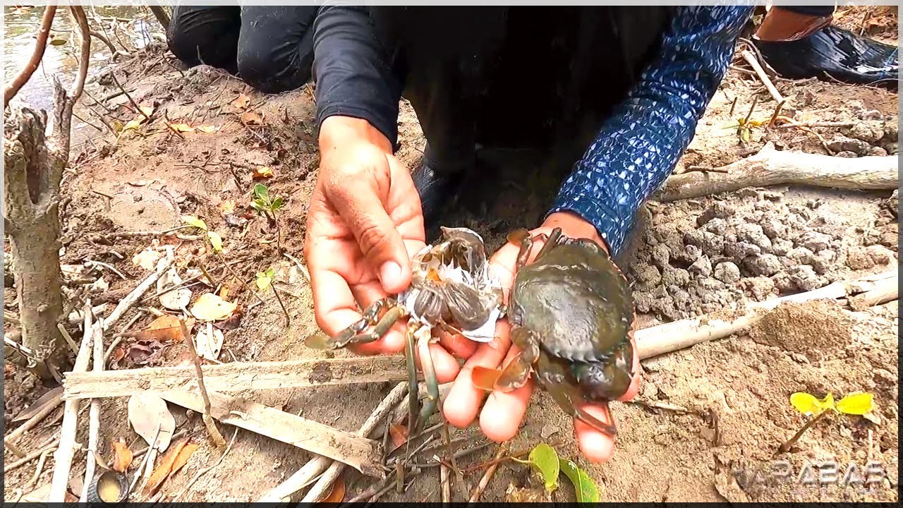 EP603-Part 1 - Seafood Kare-Kare Ala Harabae | Occ. Mindoro