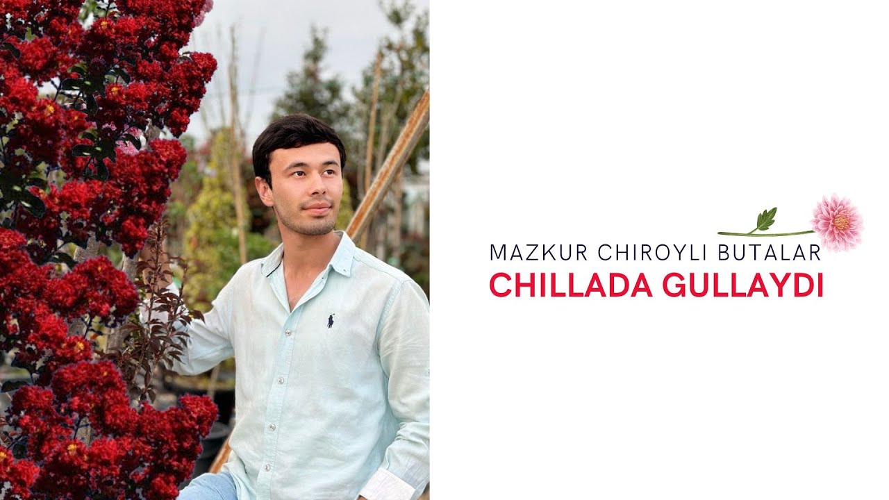 Yoz chillasida ham gullovchi butalar