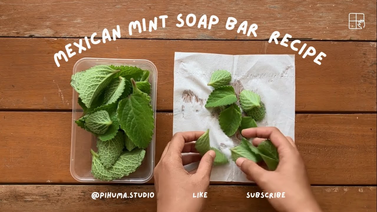 Mexican Mint Soap Bar (Sabun Daun Jinten)