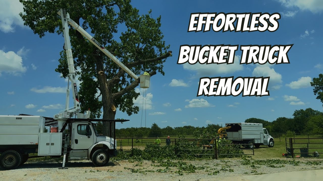 FASTEST Cottonwood Takedown — Bucket Truck Speedy Tree Removal