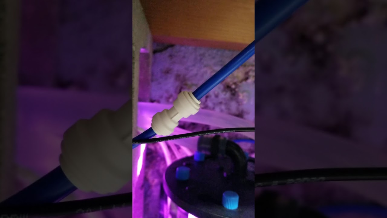 Tunze Macro Algea Reactor 3181 Review