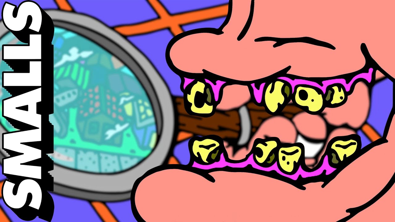 ​BACTERIA TOWN | adult swim smalls