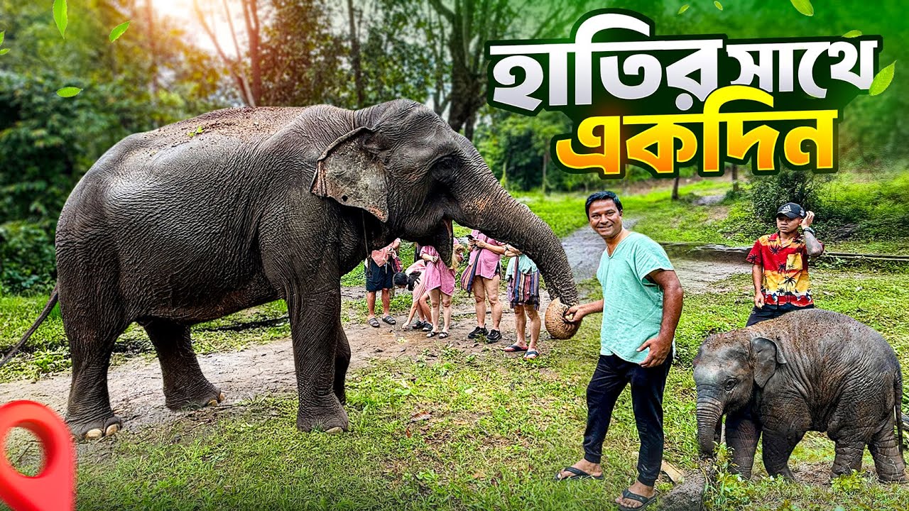 উত্তর থাইল্যান্ডের জঙ্গলে হাতির সাথে একদিন || Elephant Sanctuary in Chiang Mai || Thailand