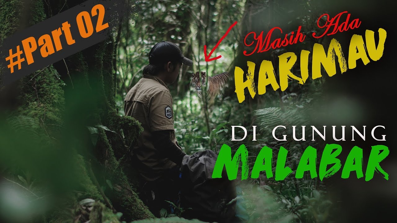 Pendakian Gunung Malabar - Pangalengan | Masih Banyak Harimau | Part 02