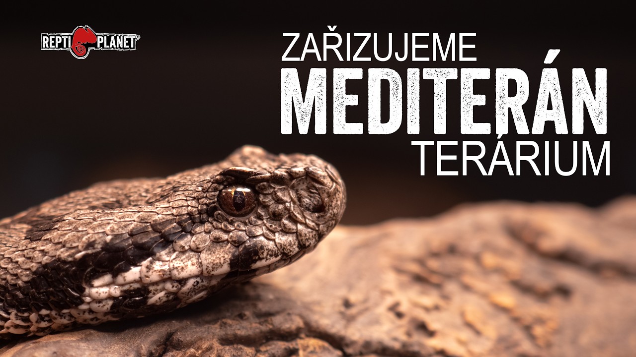 REPTI PLANET - Zařizujeme 