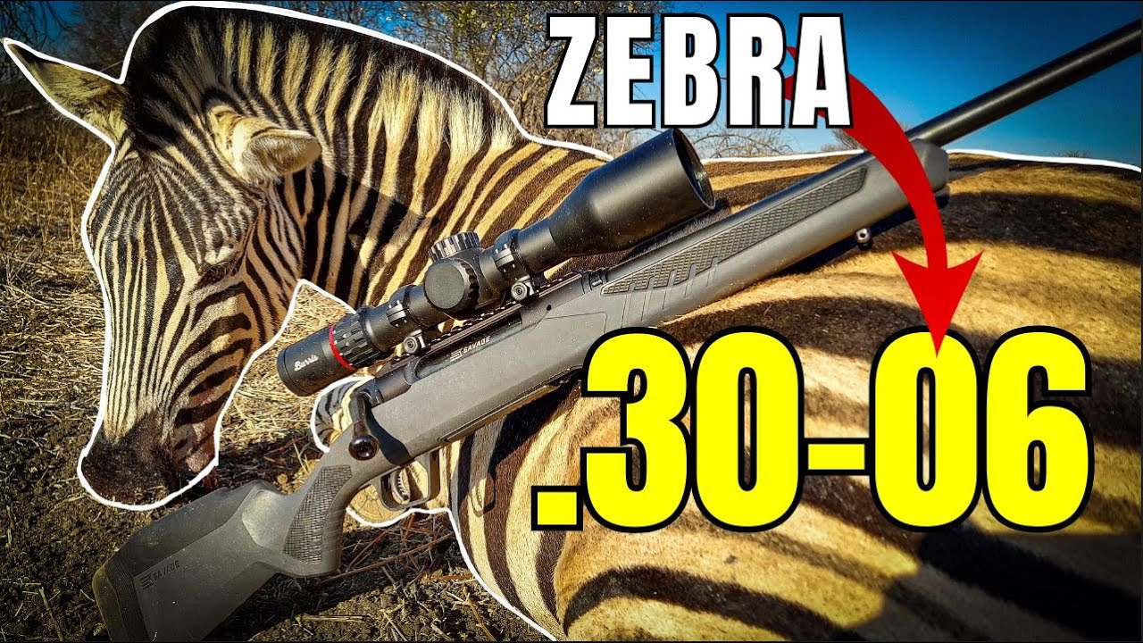 .30-06 vs Zebra [DROPPED with Perfect Shot Placement] - Big Game Hunting Adventures