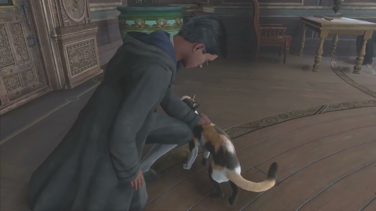 Pet the cats - Hogwarts Legacy