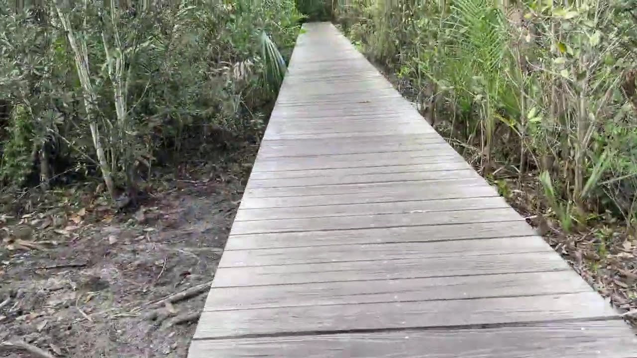 Vitual Walk: Kiplinger Nature Preserve. 10 minutes