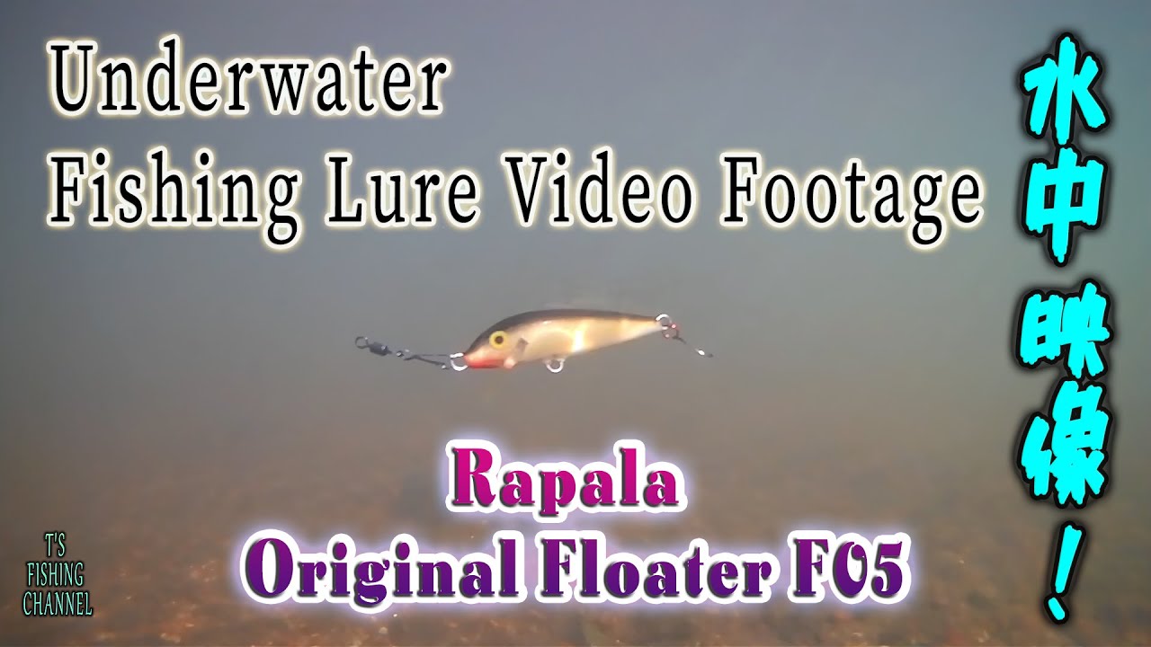 ルアー水中映像 | Underwater Fishing Lure Video Footage | Rapala Original Floater F05 | ラパラ オリジナルフローター F5