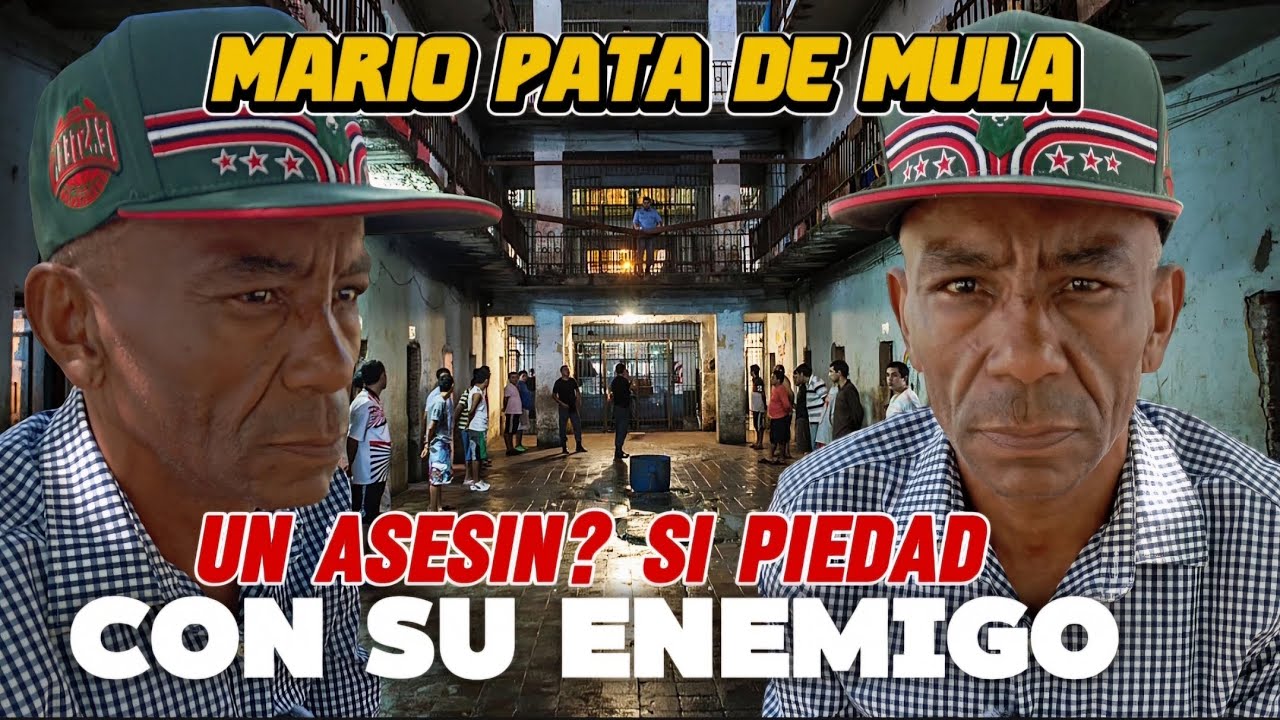 MI MEJOR AMIGO LEDIO MUCHO GOLPE  A MI MADRE Y TU VE QUE COMETER MI PRIMER HOMICIDIO 