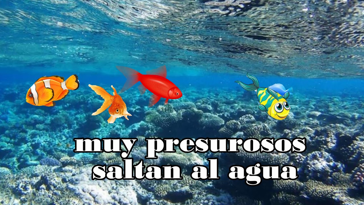Saltan saltan pecesitos saltan cantado para niños cristianos