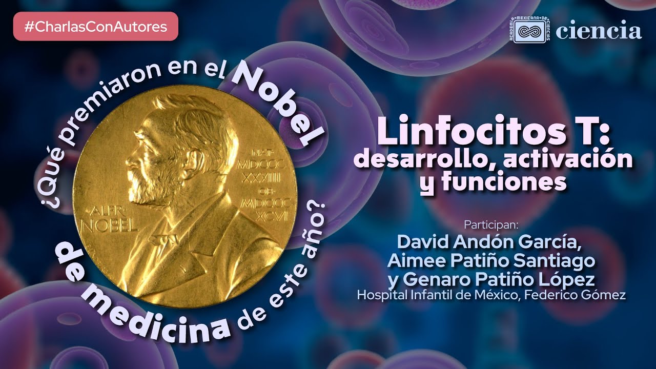 Linfocitos T: desarrollo, activación y funciones