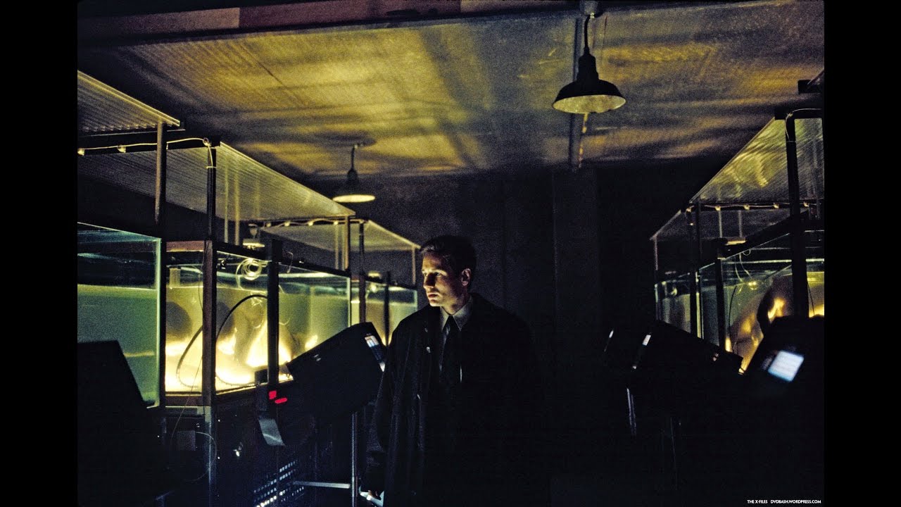Mark Snow - The Wells Brain (The X-Files: The Erlenmeyer Flask - 01X23)