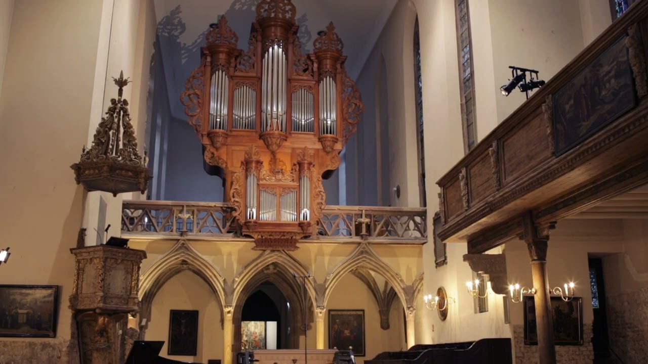 Buxtehude Toccata D minor - Martin Gester