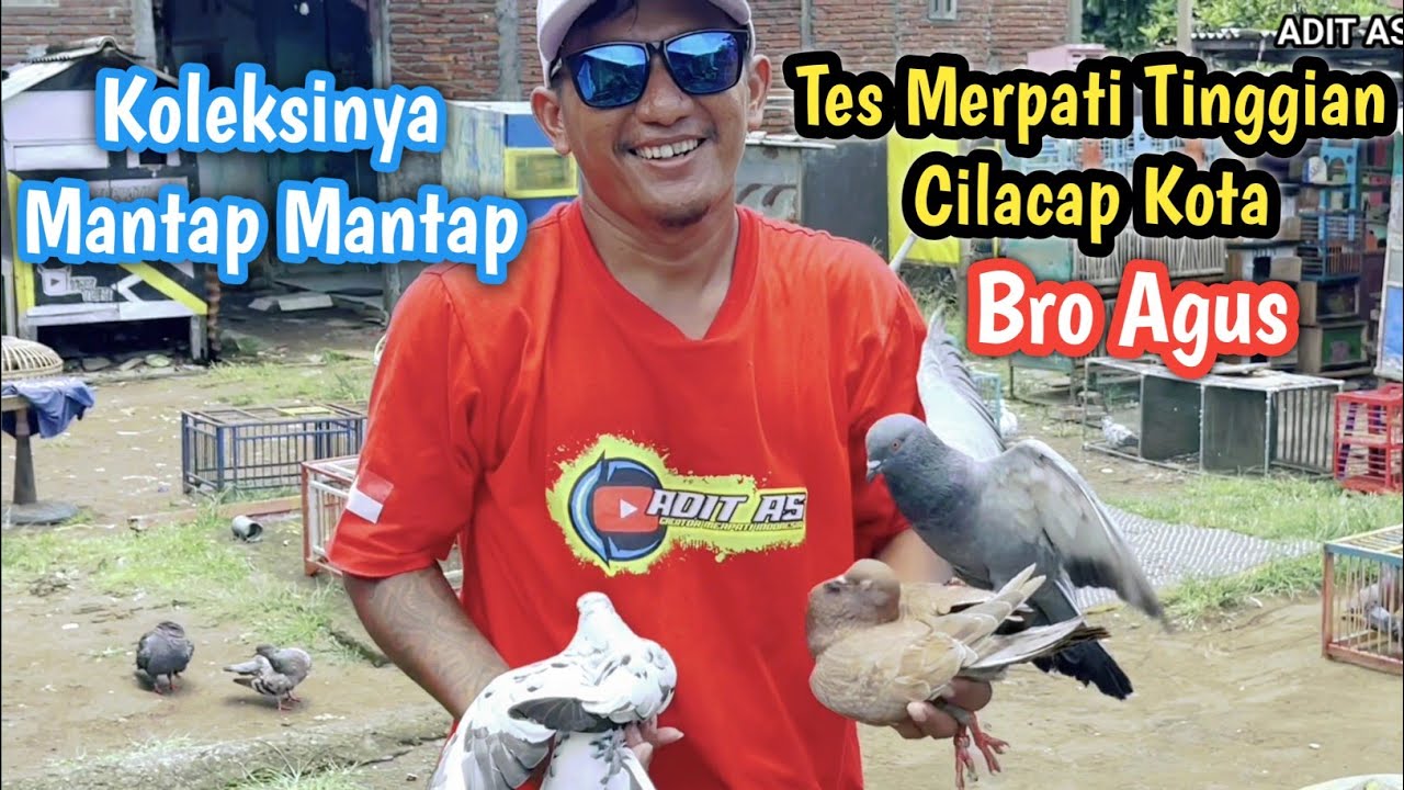 Tes Terbang Merpati Tomprang Cilacap