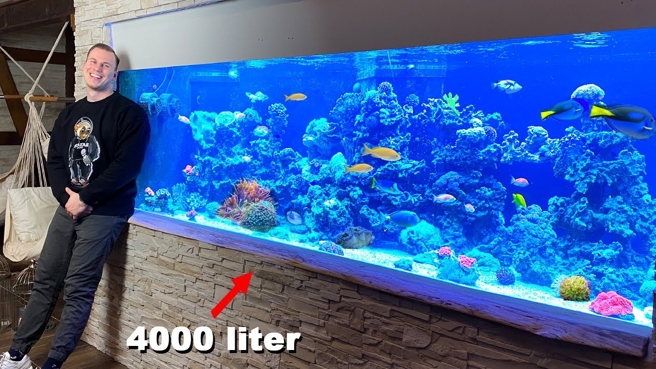 GERMAN REEF TANKS - XXL Hunter Reef Tank - 4000 liter / 1055 gallon - SALTWATERAQUARIUM