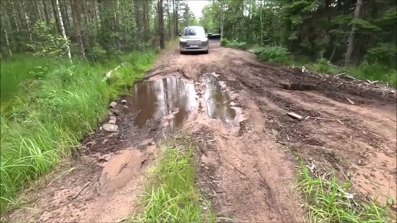 Ловля ЕЛЬЦА и отдых на таёжной речке