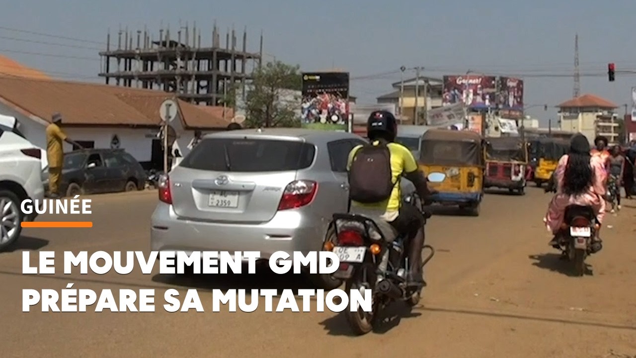 Guinée. «Ce ne sera pas un parti d’Etat»: avec la GMD
