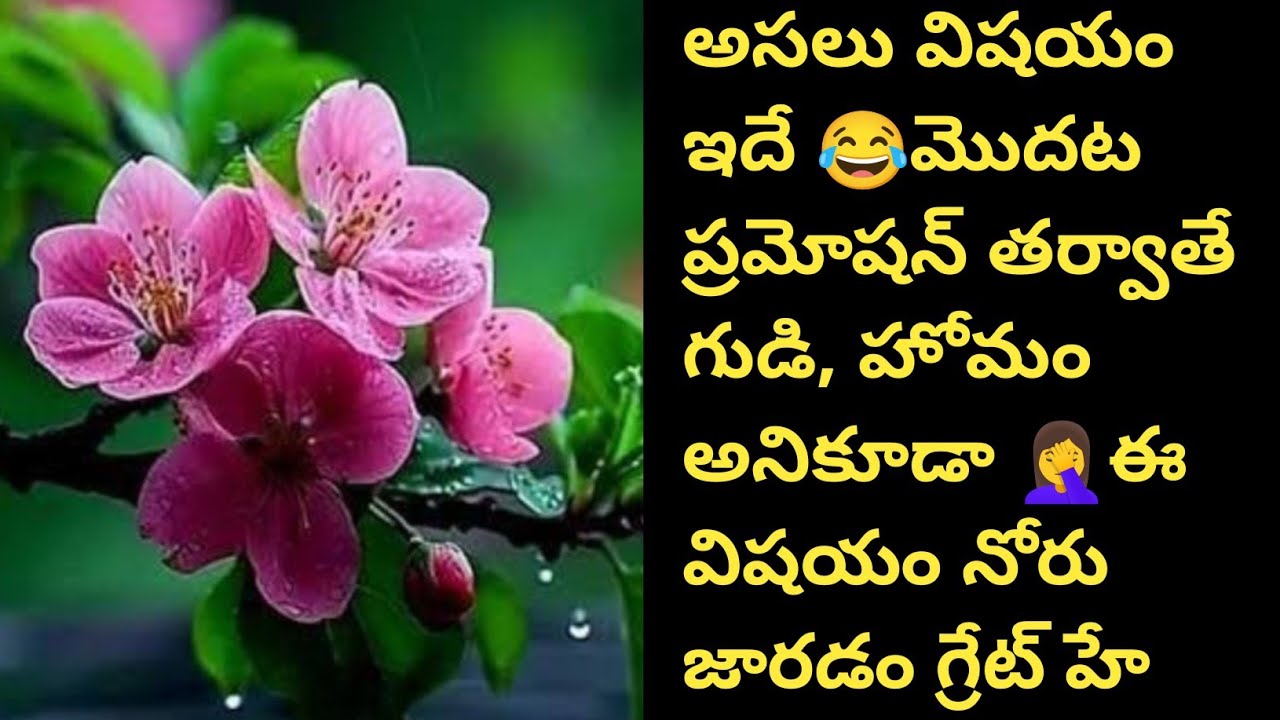 అసలు విషయం ఇదే 😂మొదట ప్రమోషన్ తర్వాతే గుడి, హోమం అనికూడా 🤦‍♀️ఈ విషయం నోరు జారడం గ్రేట్ హే 🙏