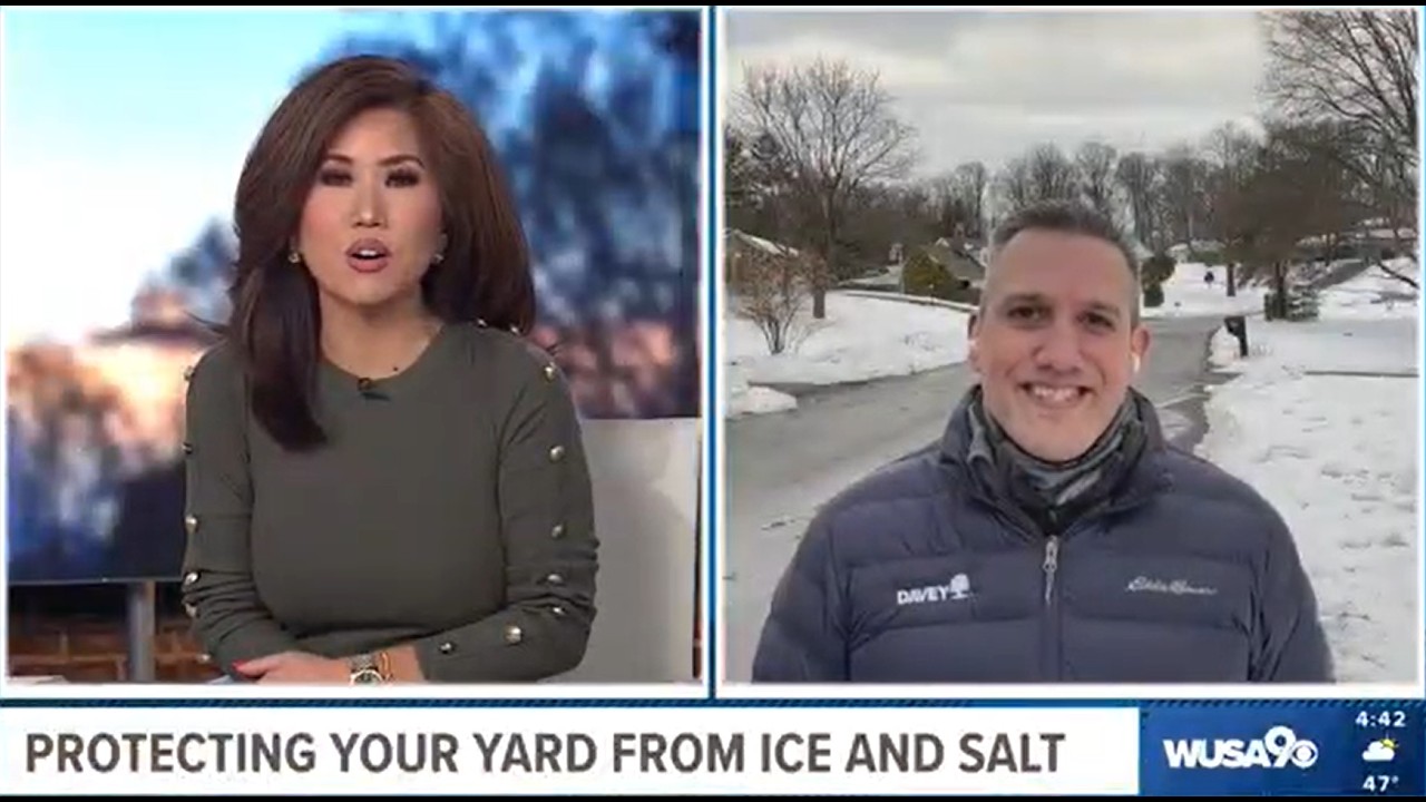 Protecting Your D.C. Trees and Yard from Ice and Salt