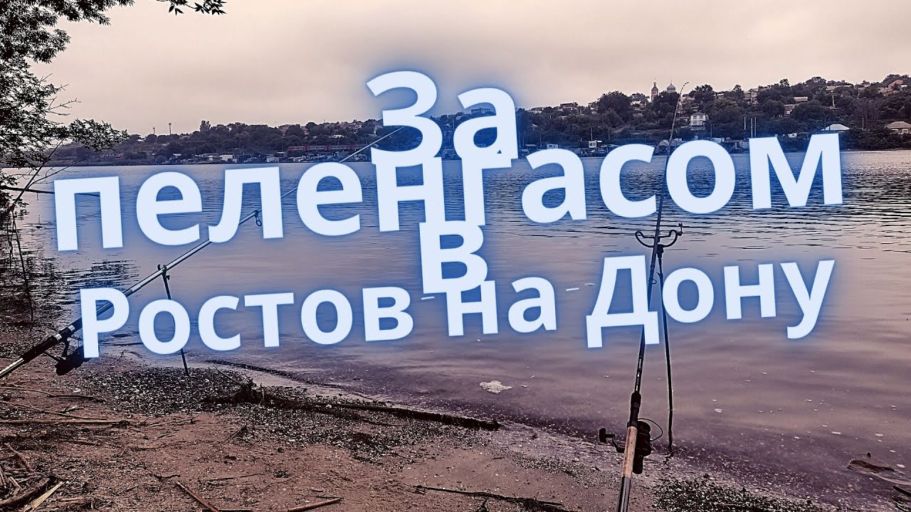 Рыбалка в Ростове-на-Дону. Рыбалка на реке Дон и реке Аксай.