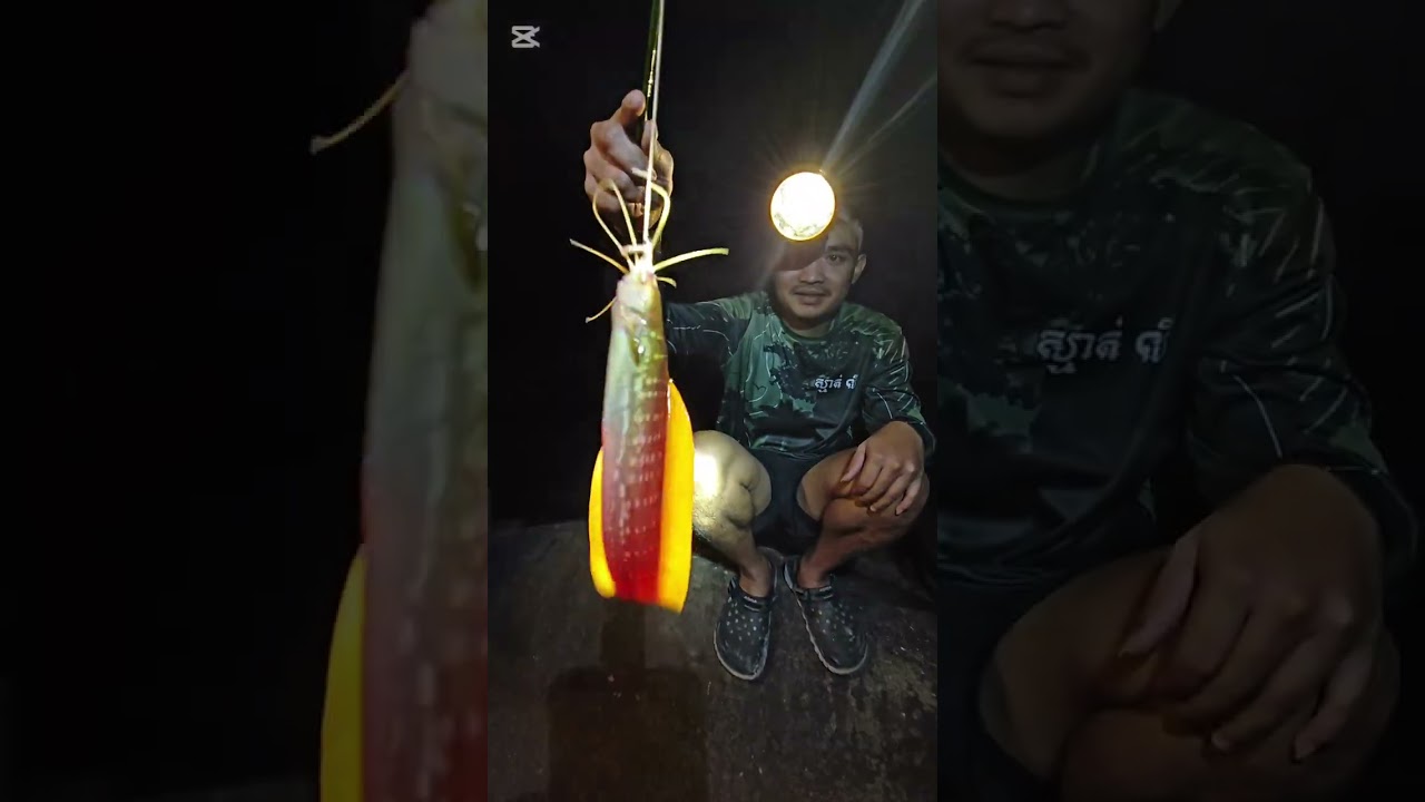 @ស្ទួចត្រីអណ្តែងភ្នំ​ -​ នៅជ្រោះ ឱម៉ាល់