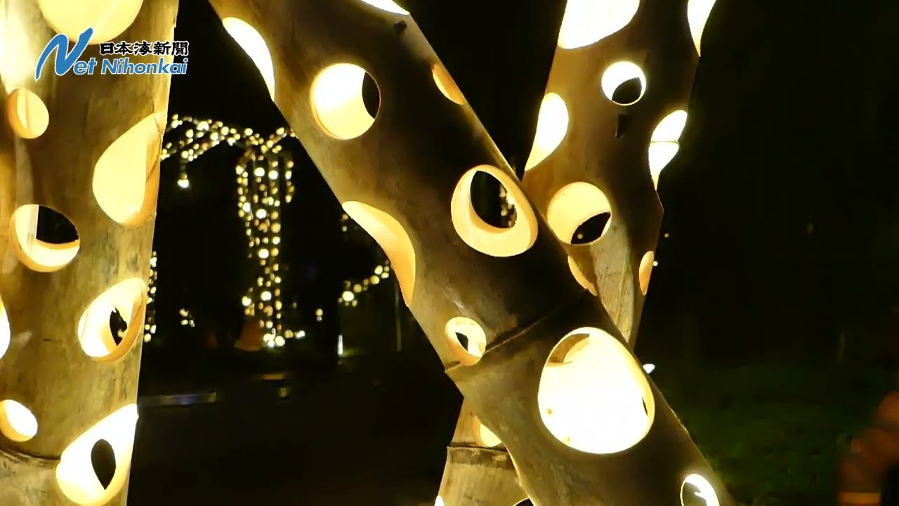 とっとり花回廊でフラワーイルミネーション　日本海新聞