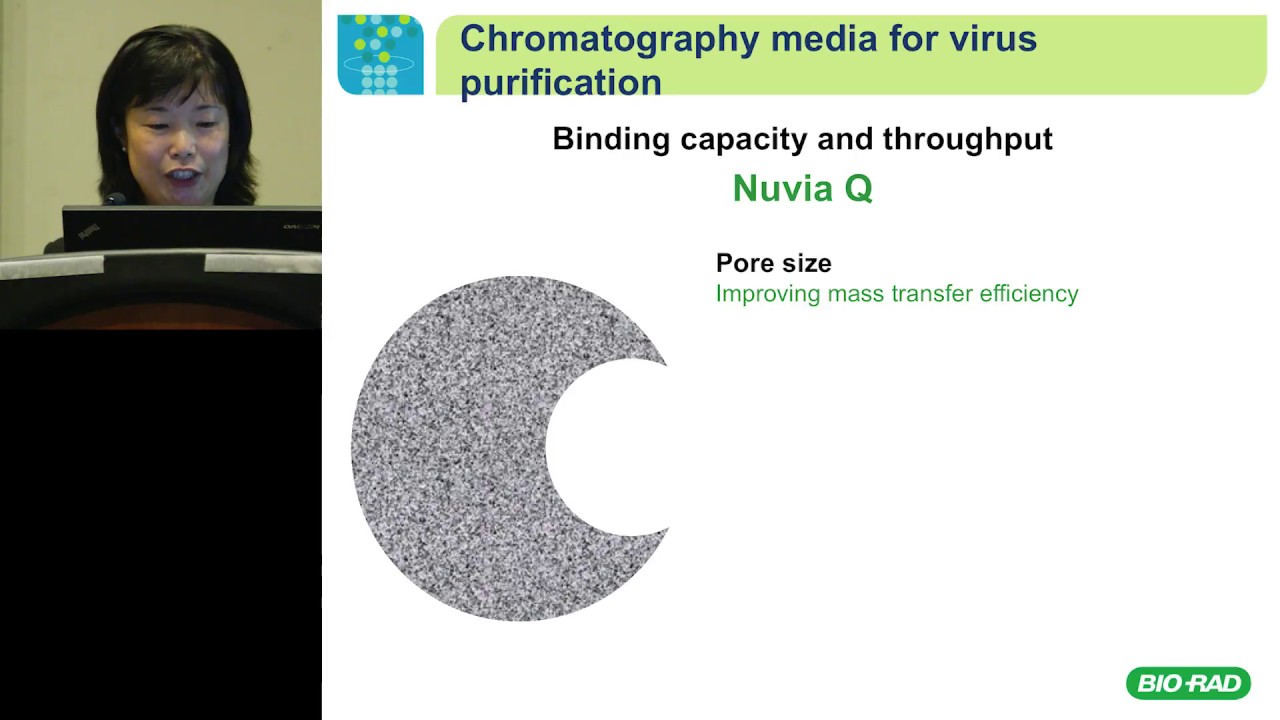 Effective Processes for Virus Purification