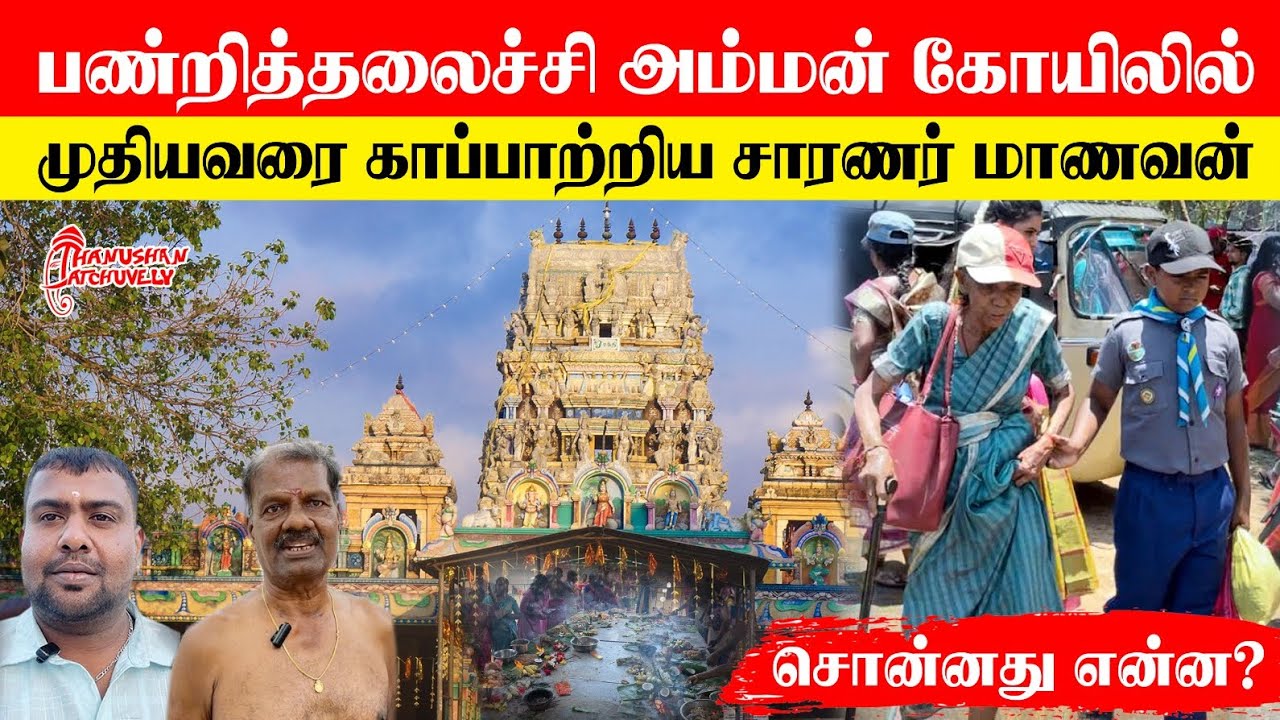 மட்டுவில் பண்றித்தலைச்சி அம்மன் ஆலயத்தில் சாரணர் மாணவனின் நெகிழ்ச்சியான செயல் Thanushan View| Jaffna