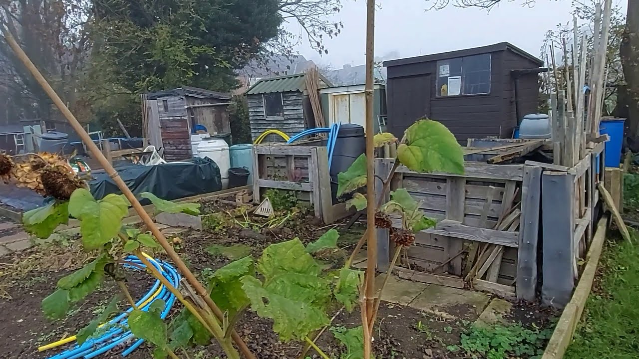 Allotment Journal -  November Tour of the Allotment