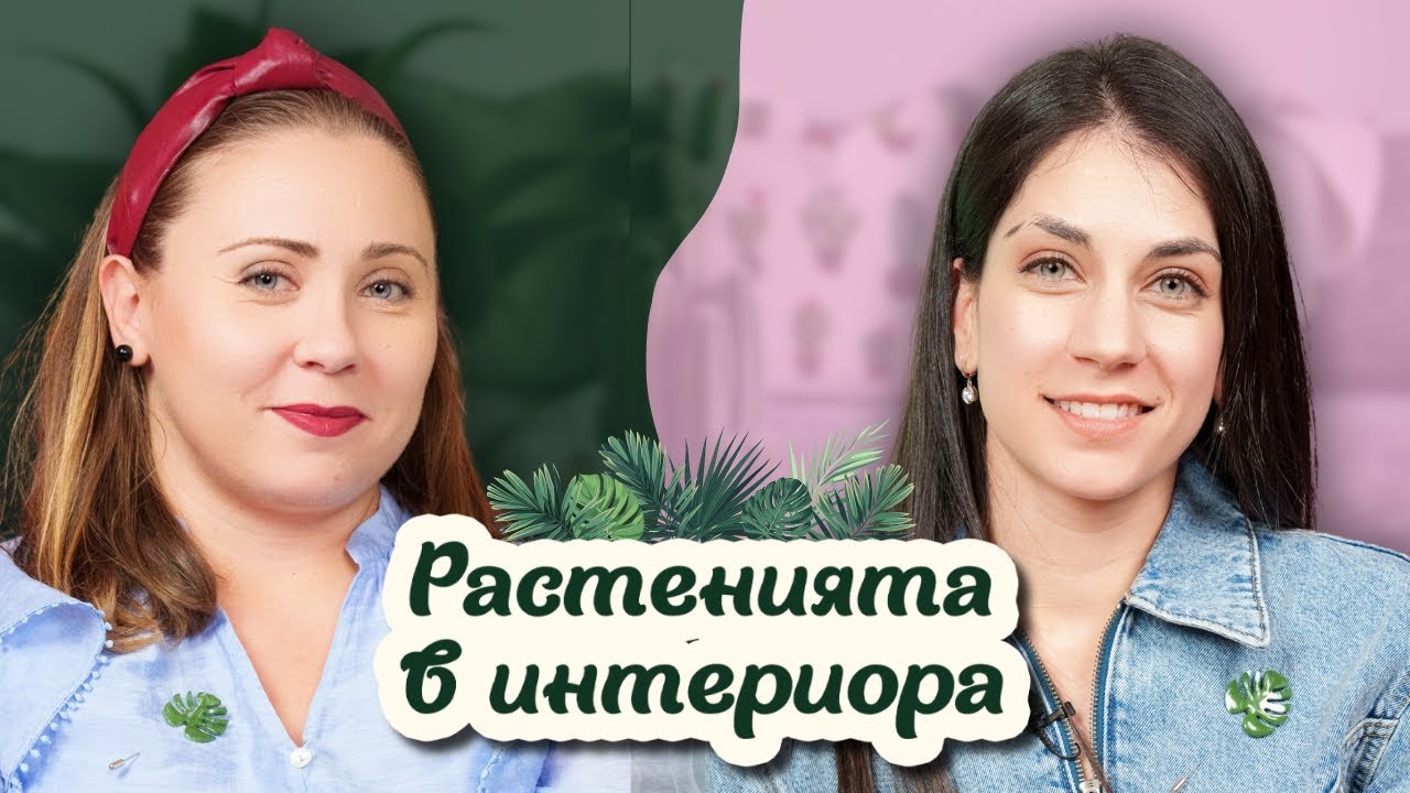 Как Растенията Променят Дома Ни?