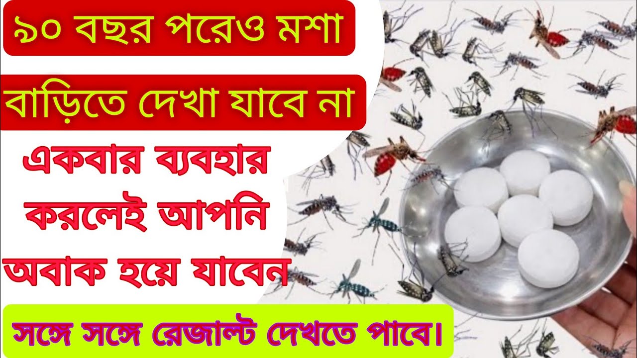 মেথির মধ্যে এই জিনিসটি মিশিয়ে রেখে দিন 😱 জীবনে কখনো আর বাড়িতে মশা দেখতে পাবেন না ১০০% গ্যারান্টি 