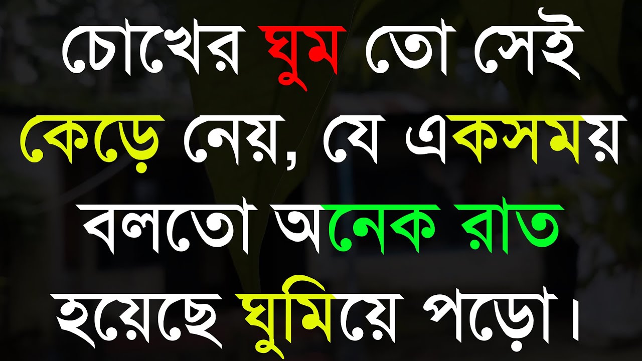 চোখের ঘুম তো সেই-Life Changing Motivational Quotes in Bengali | Monishider Bani Kotha By MB Diary