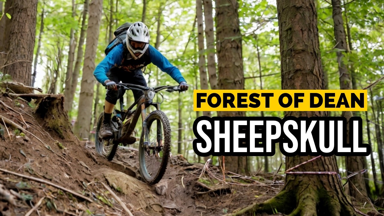 SHEEPSKULL DOWNHILL TRAIL AT THE FOREST OF DEAN