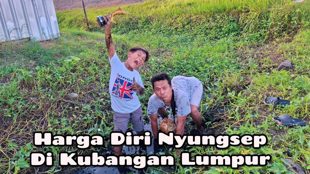 HARGA DIRI NYUNGSEP DI KUBANGAN LUMPUR GEGARA IKAN GRREN JACK