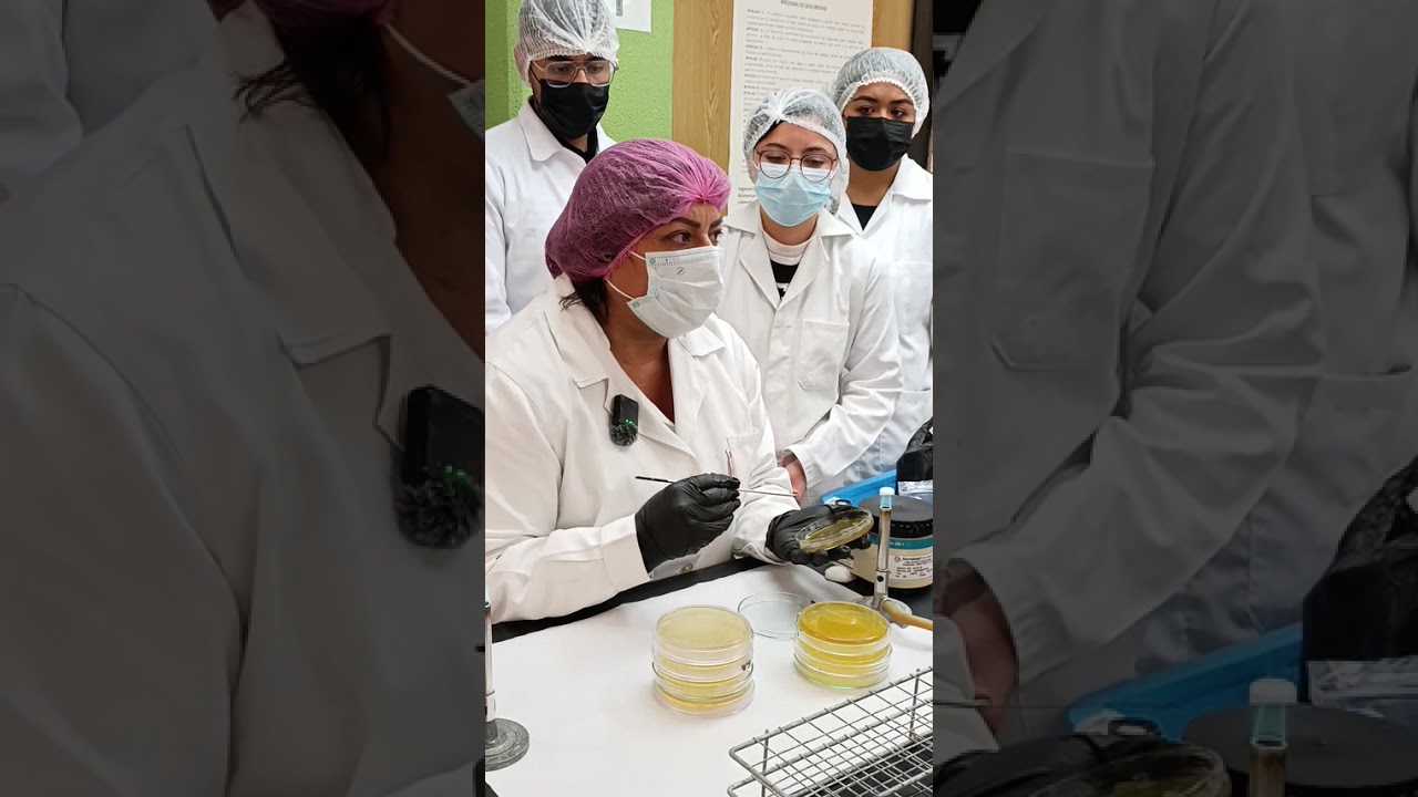 Práctica de microbiología de alimentos industrias alimentarias 
