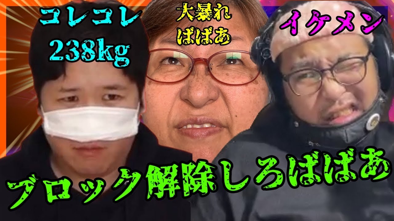 コレコレのとこでブロ解しろと騒いでたゴミばばあ※以前の凸は概要欄