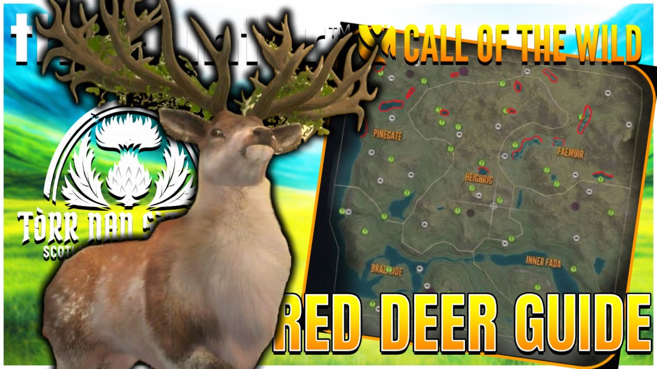 Полное руководство по игре Red Deer Great One на НОВОЙ карте Шотландии!